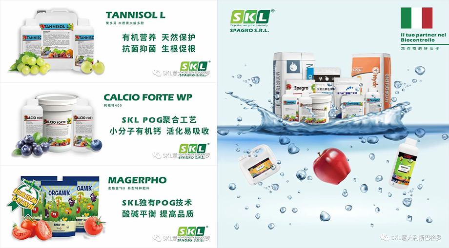 斯巴格罗第37届植保双交会现场(图3)